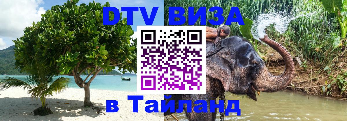 Сколько стоит DTV виза — актуальные цены, оформление даже без документов - 08.01.2026 